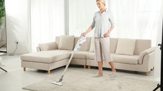 휴대용 진공 청소기 제조업체 먼지 수집 Handy 및 Push 2 in 1